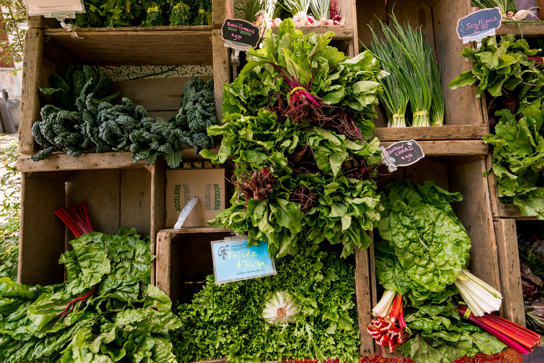 Portland State University Farmers Market Guide (PSU Market) - Good to Know