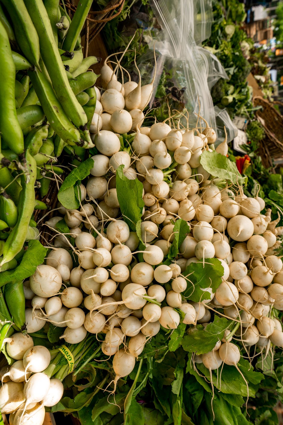 Portland State University Farmers Market Guide (PSU Market) - Fall (September to December)