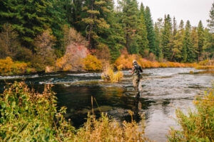 Fly fishing on the Metolius River