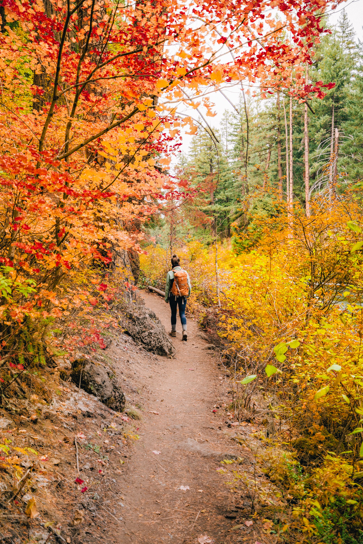 fall color in bend, Oregon