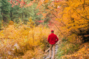 Fall color on the Deschutes River Trail
