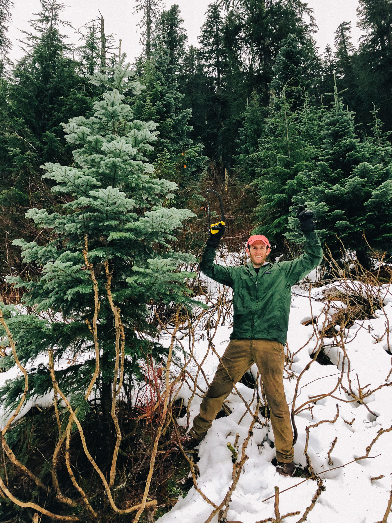 How to (EASILY) Cut Your Own CHRISTMAS TREE in a National Forest