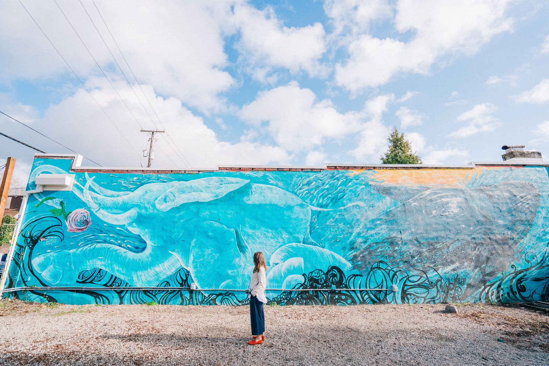 swimming elephant mural Portland