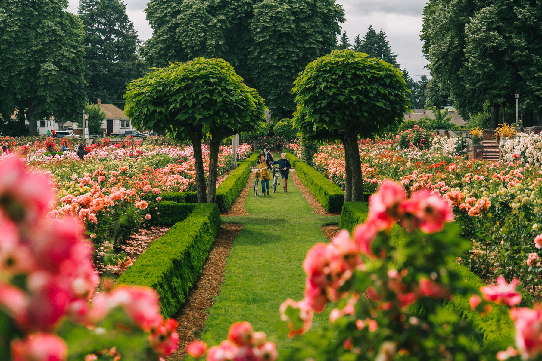 Peninsula Park Rose Garden