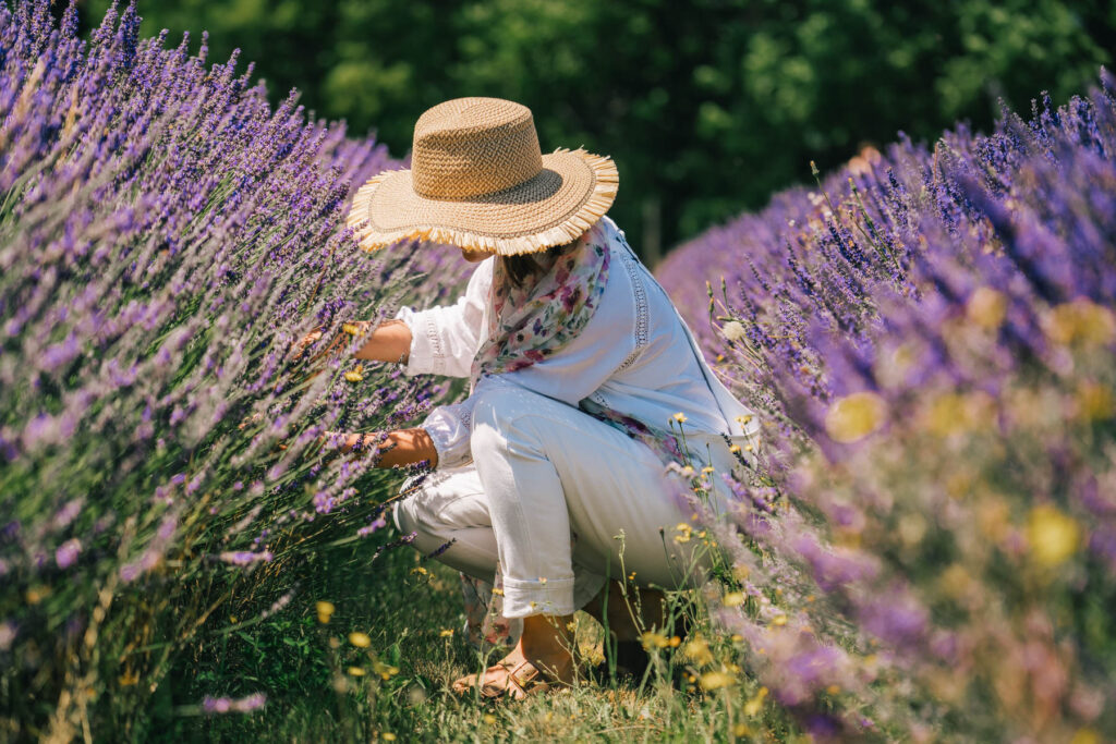 Lavender Valley Hood River