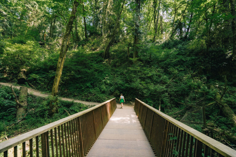 The Best Hikes Near Portland (A Local's Trail Guide)