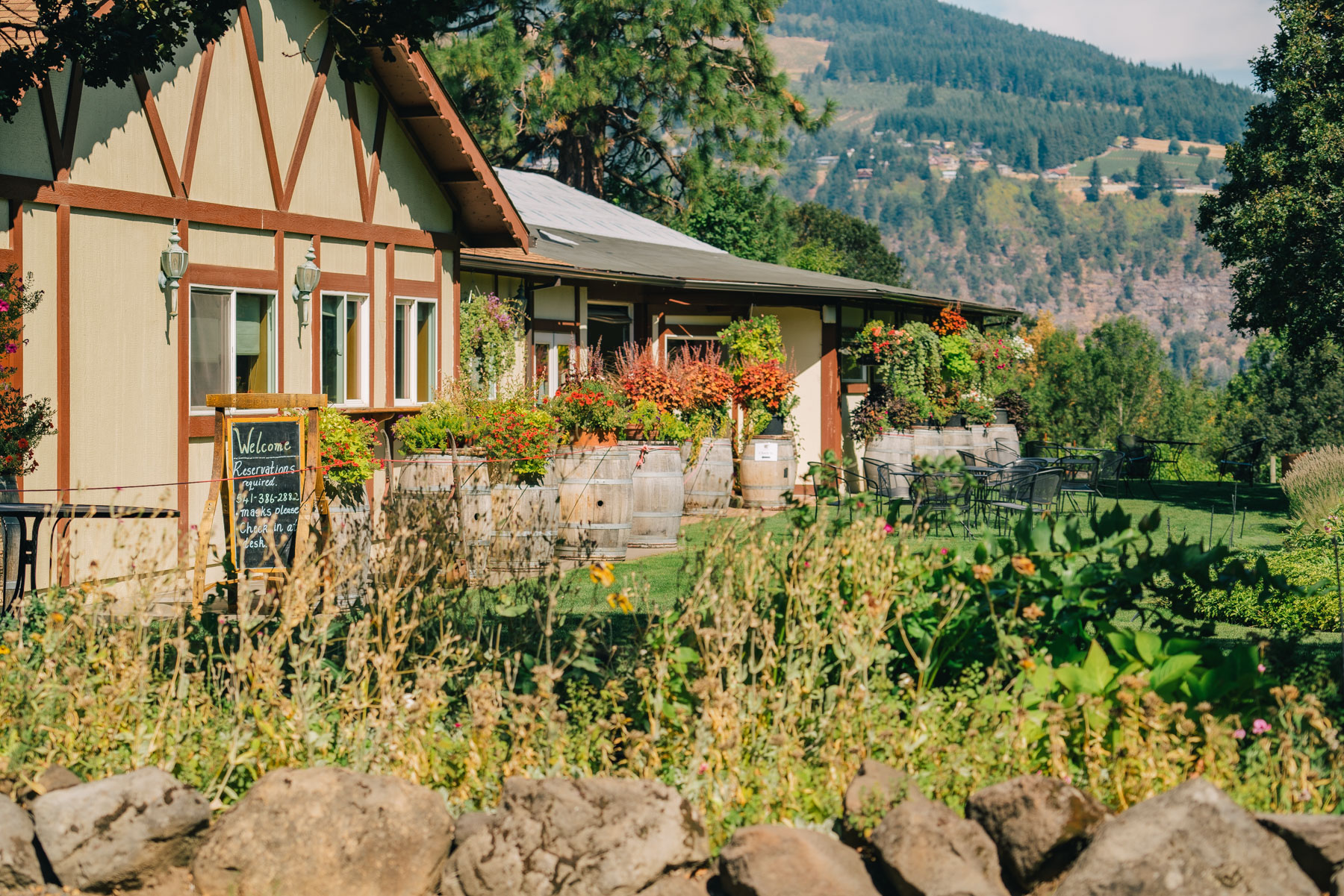 best wineries Hood River
Cathedral Ridge Winery