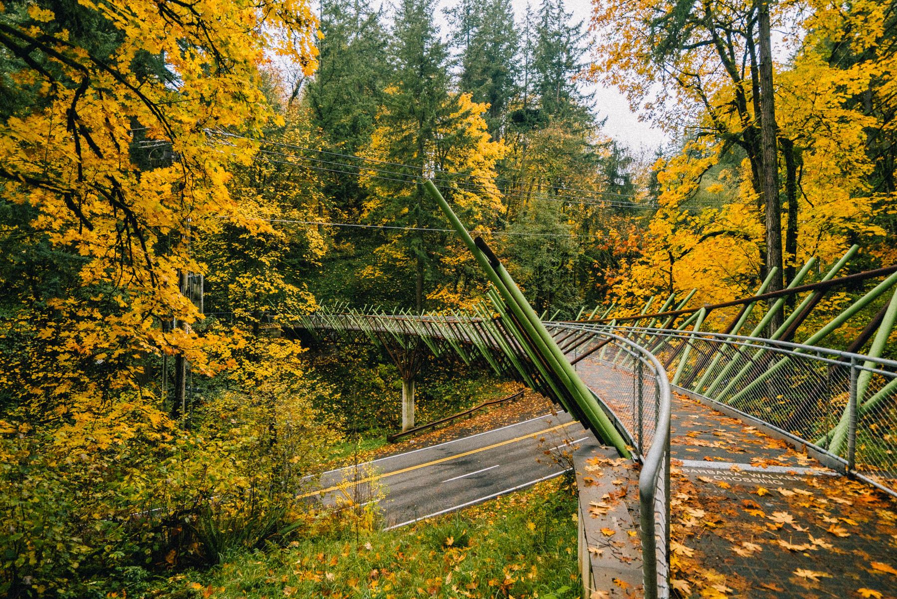 Portland best parks
Barbara Walker Crossing in Forest Park