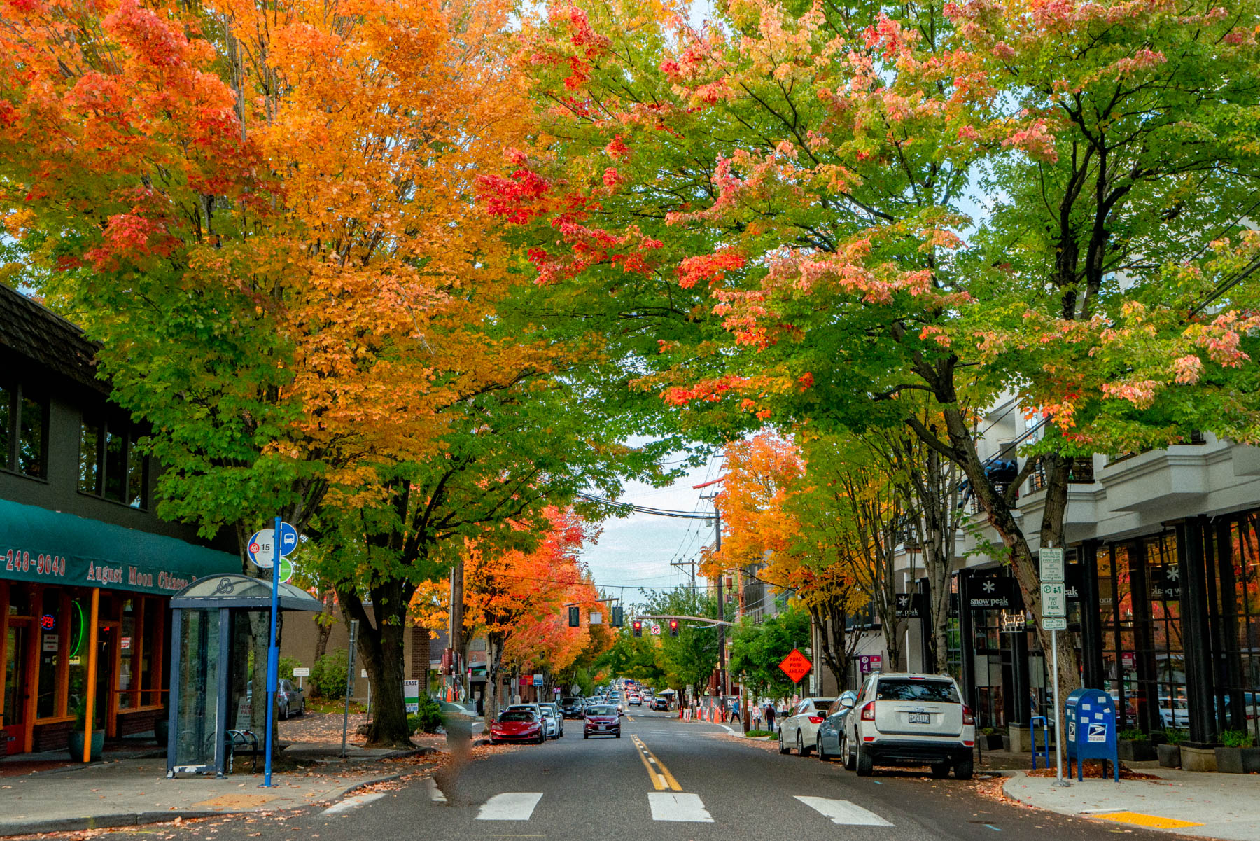 15 STUNNING Spots for Fall Color in Portland, Oregon (+Photos) - Photos of Portland, Oregon in the Fall