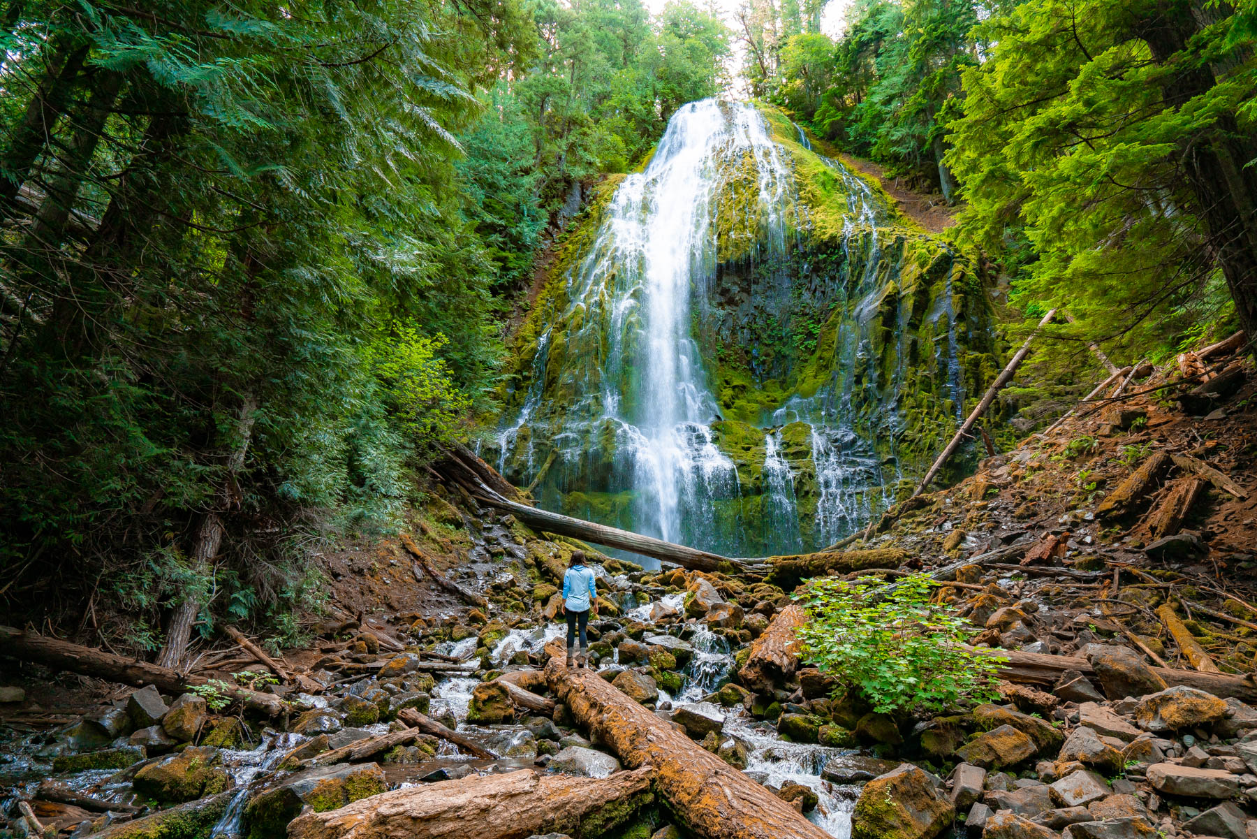 Proxy Falls Oregon