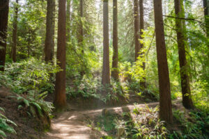 Best Hikes Near Portland