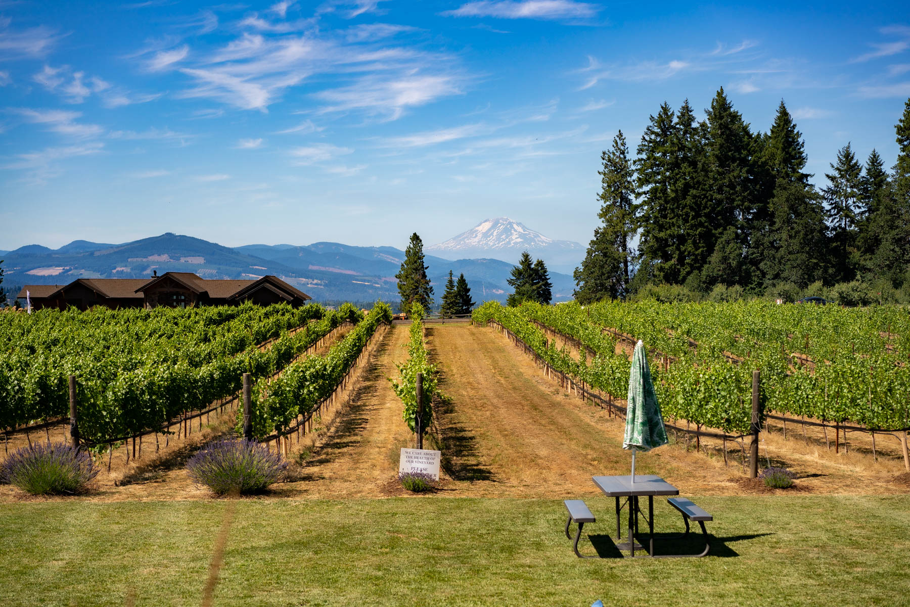 Stave and Stone Winery