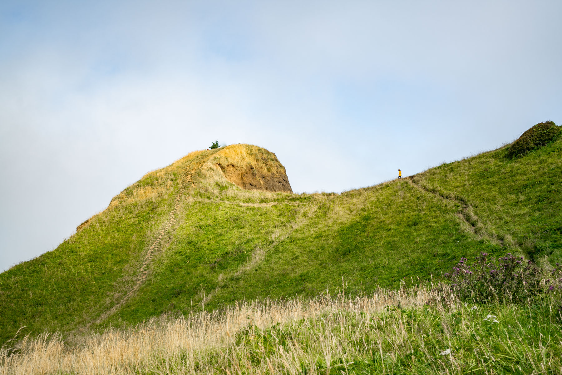 BEST TRAILS IN OREGON
