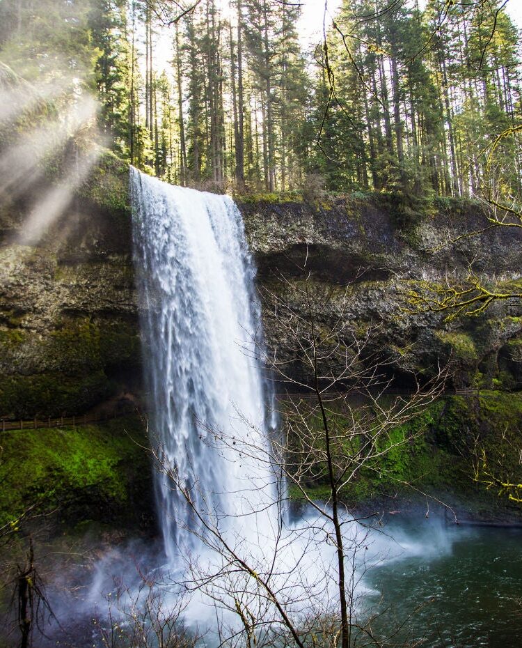 South Falls at Silver Falls State Park with sunbeams cutting through the forest above the waterfall