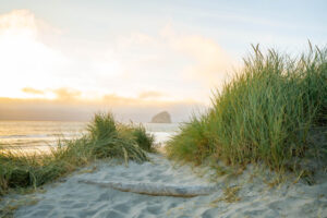 Cape Kiwanda