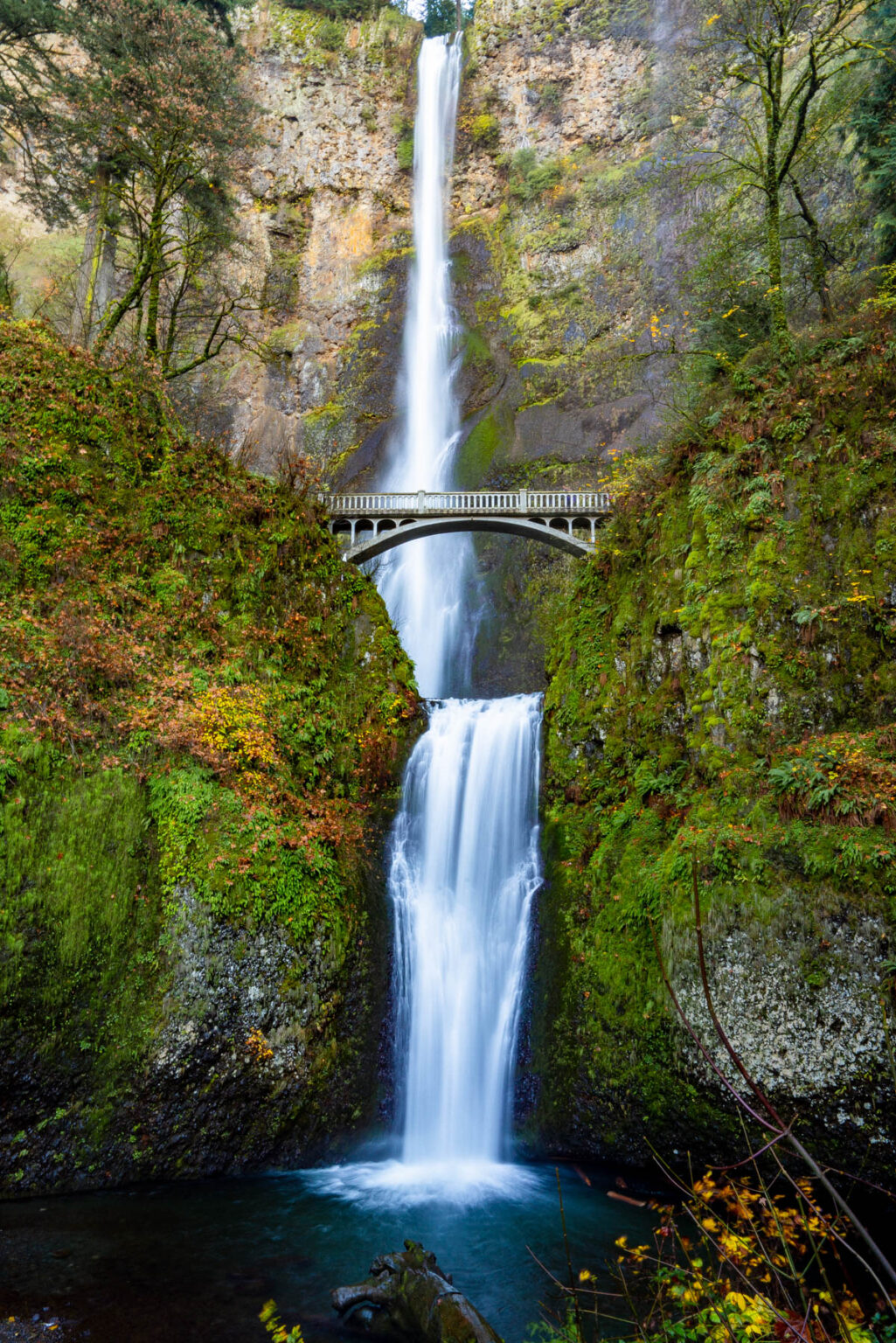 Fall In Oregon The Most Beautiful Waterfalls in Oregon (Local's Guide)