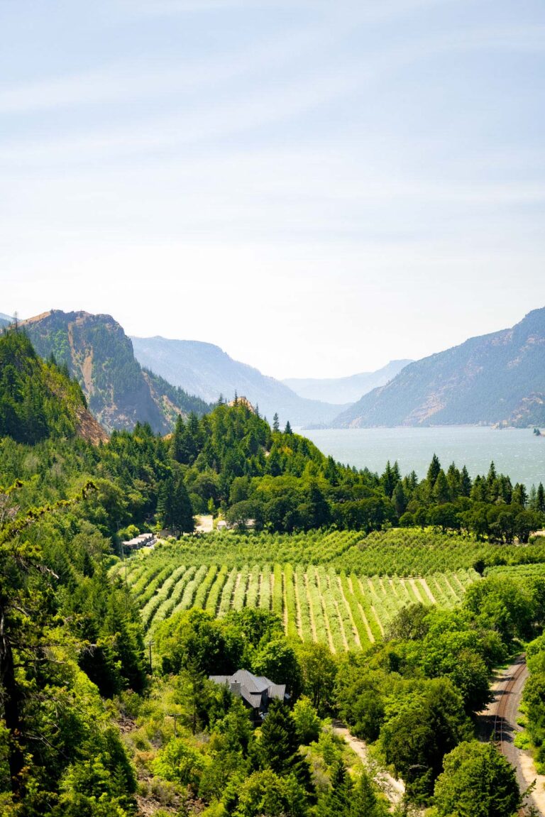 Columbia Gorge