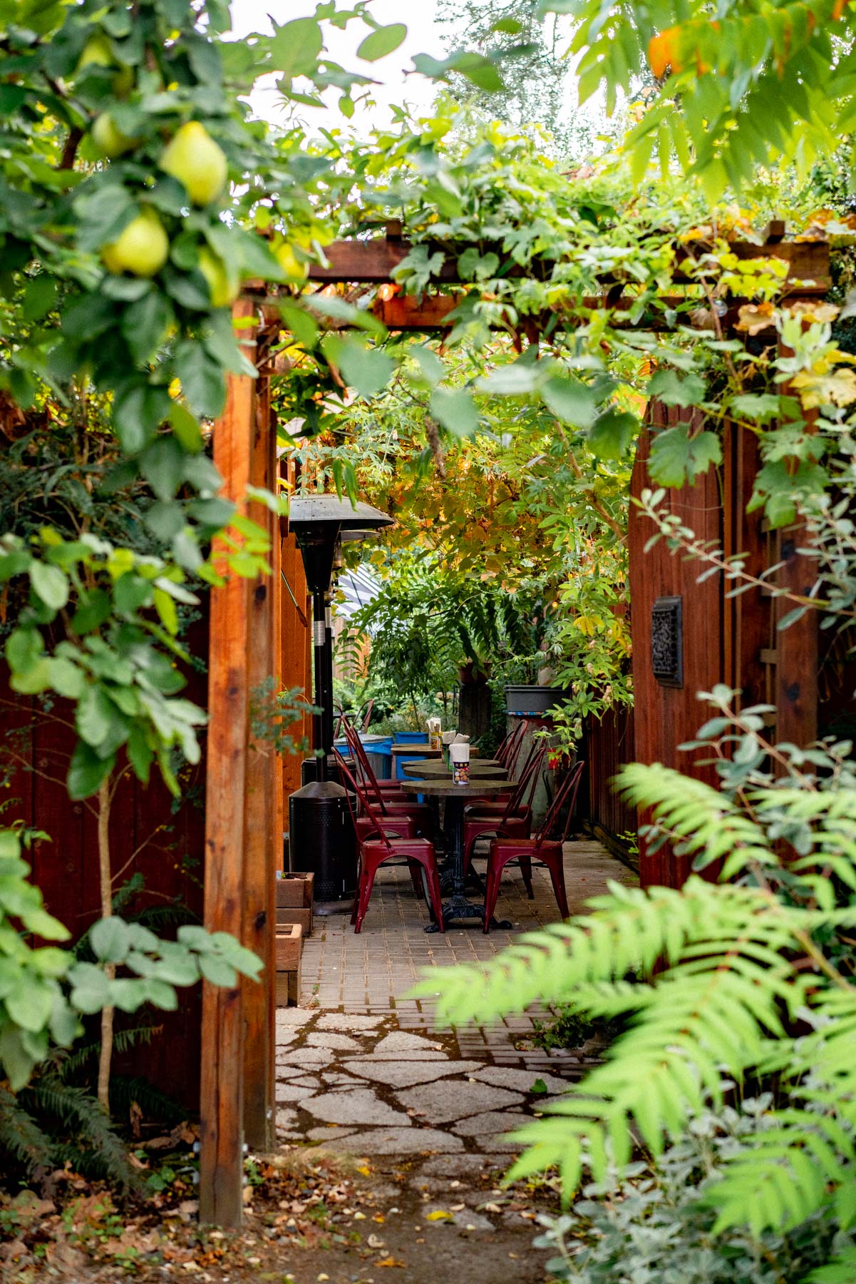 Malka Portland, best restaurants in Portland, Oregon