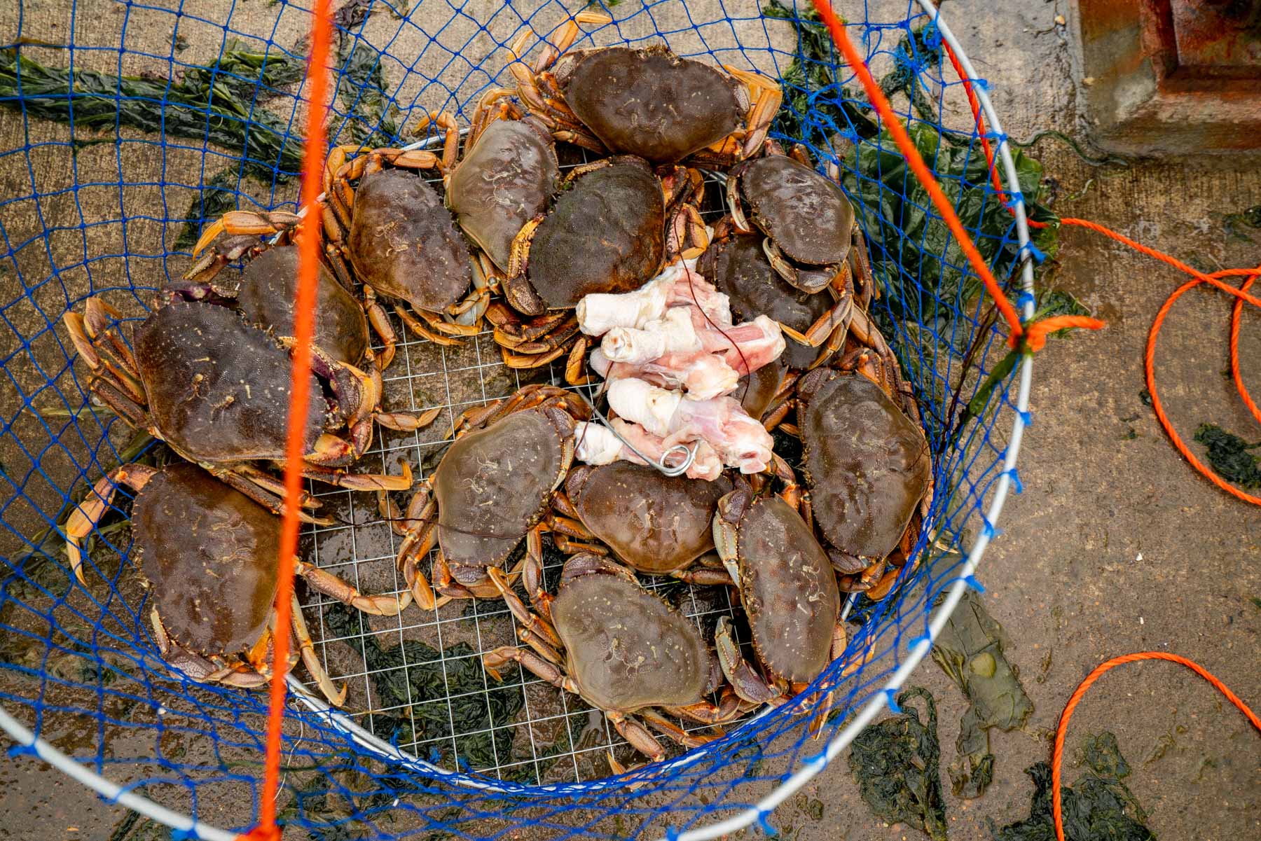 best spots for crabbing at the Oregon coast