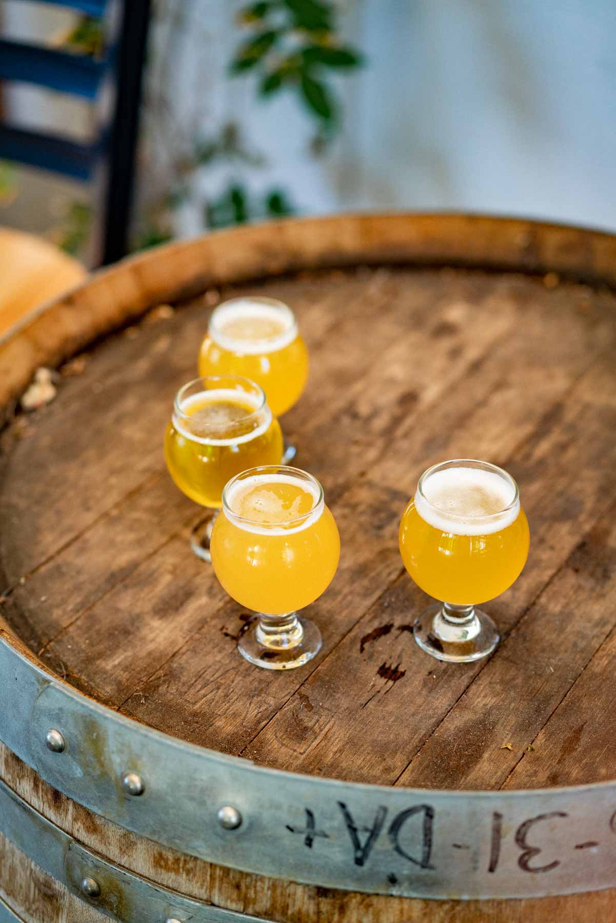 Culmination Brewing Portland
