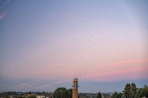 Romantic things to do in Portland