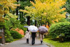 Umbrellas on a path at the Portland Japanese Garden