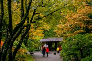 Portland Japanese Garden in the fall