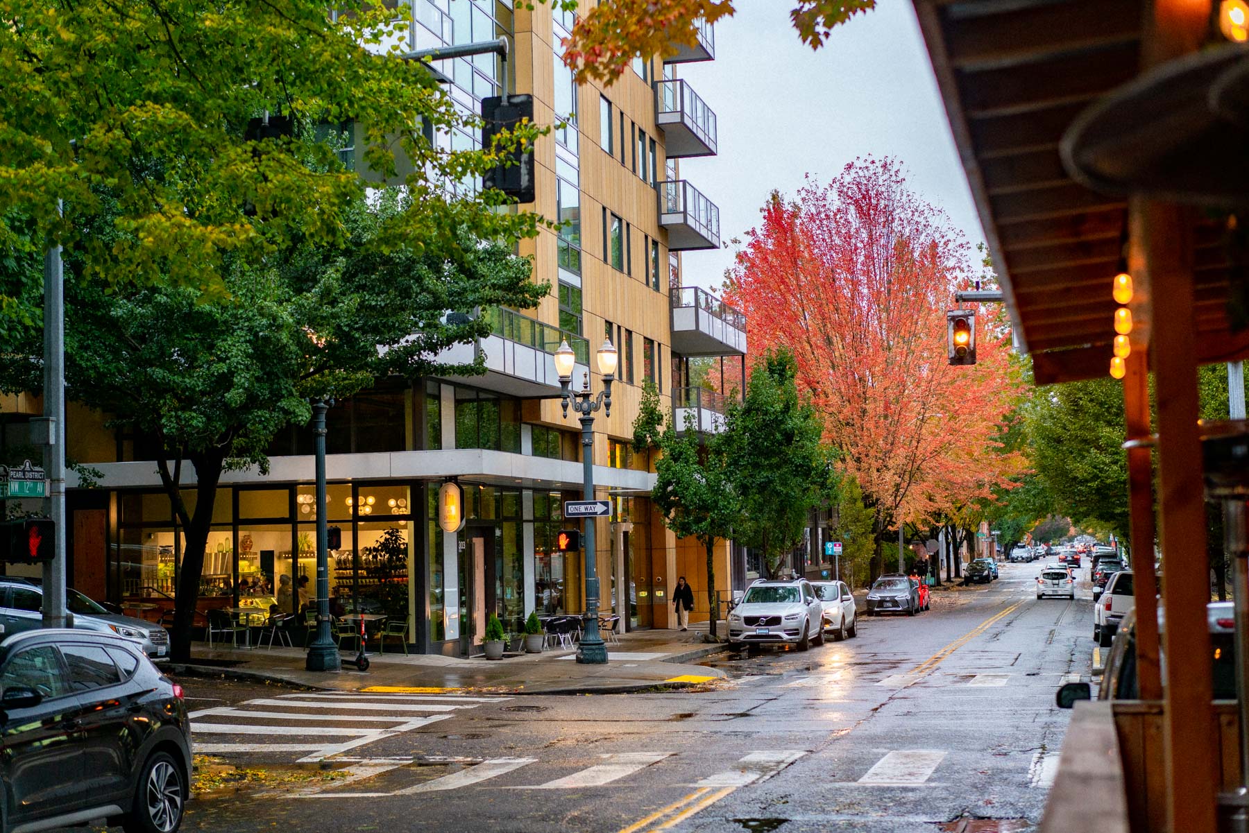 A Portland street corner on a wet grey day with a red maple in full color and rain standing on the asphalt