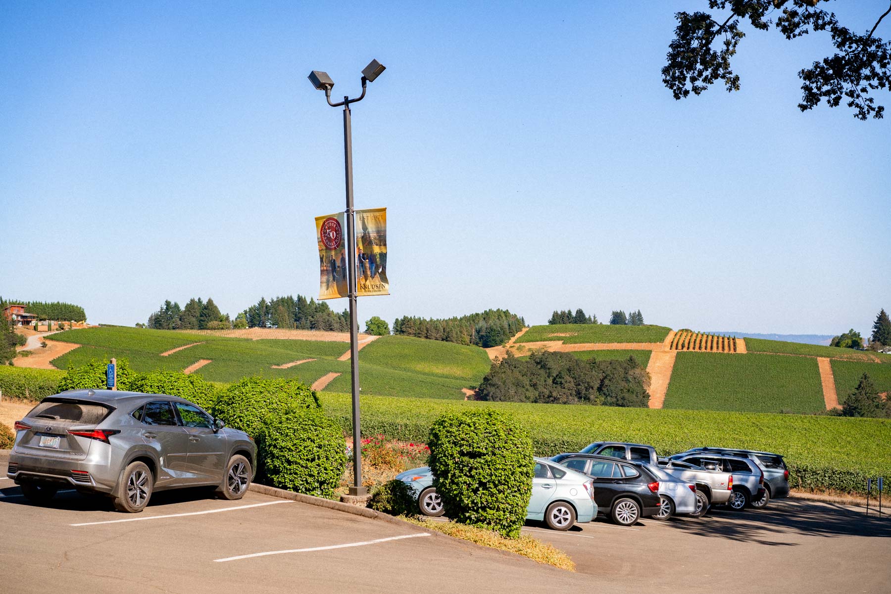 Driving in Willamette Valley