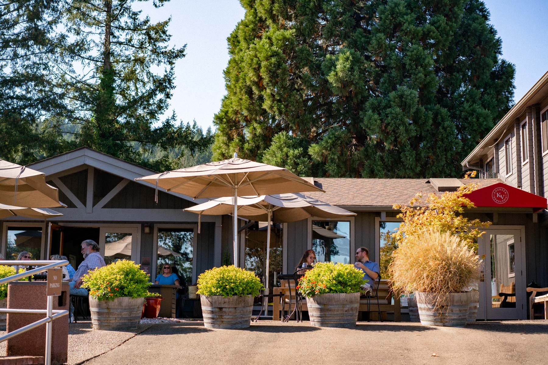 Knudsen winery Oregon
Best wineries Willamette Valley