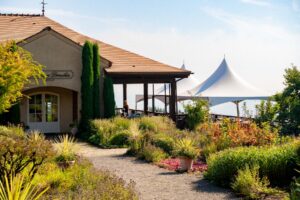 The Domaine Drouhin tasting room garden
