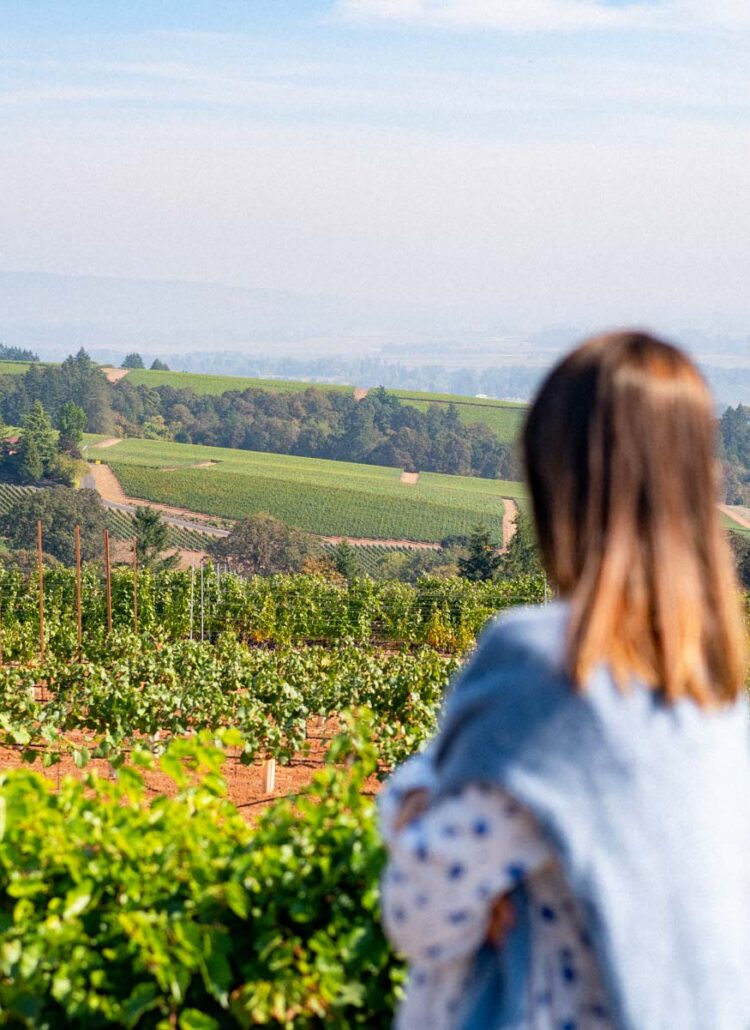 10 Memorable Willamette Valley Wineries Worth Visiting (+Advice)