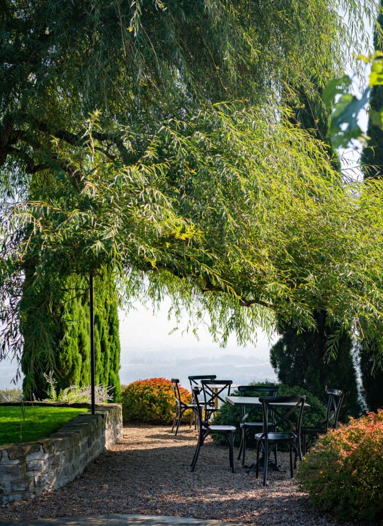 Wine regions in Oregon