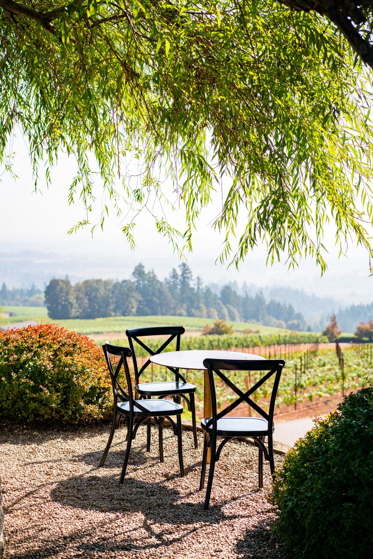 White Rose Estates 
Best wineries Willamette Valley