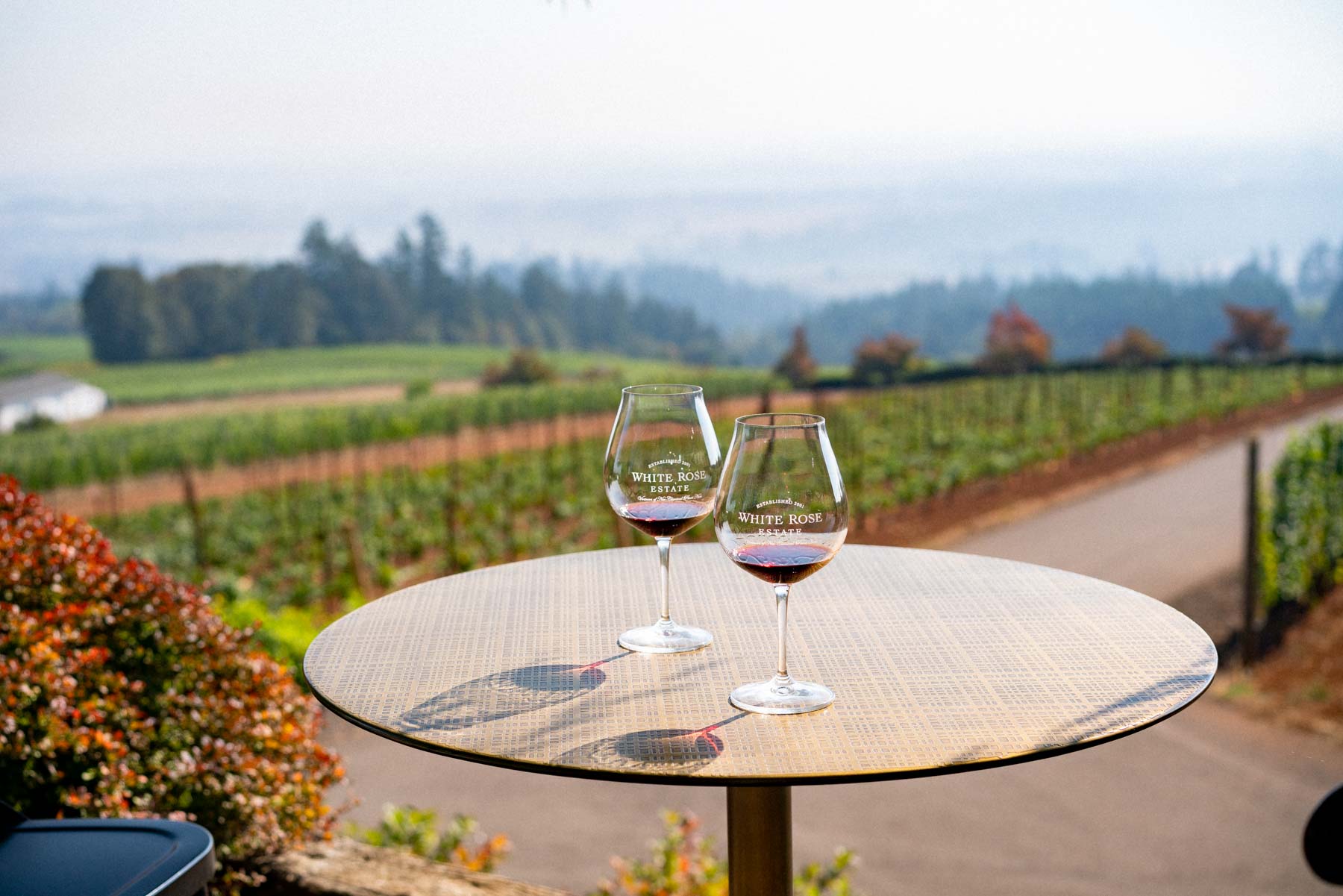 White rose estates wines on table