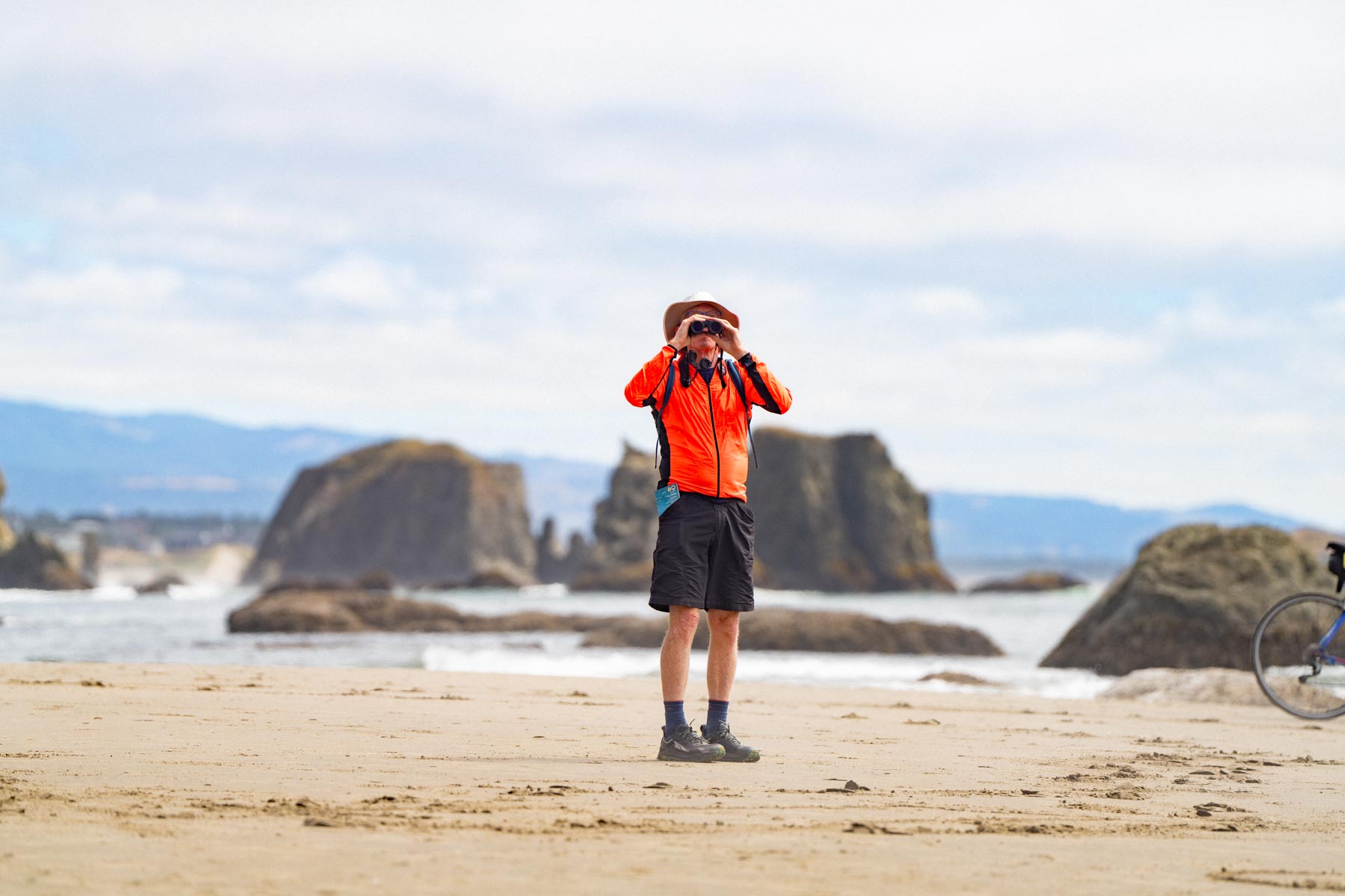 wildlife viewing oregon coast