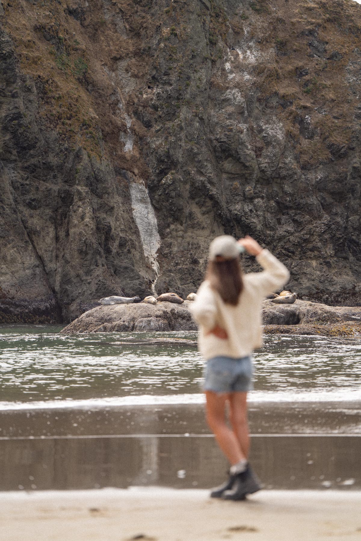 oregon coast wildlife