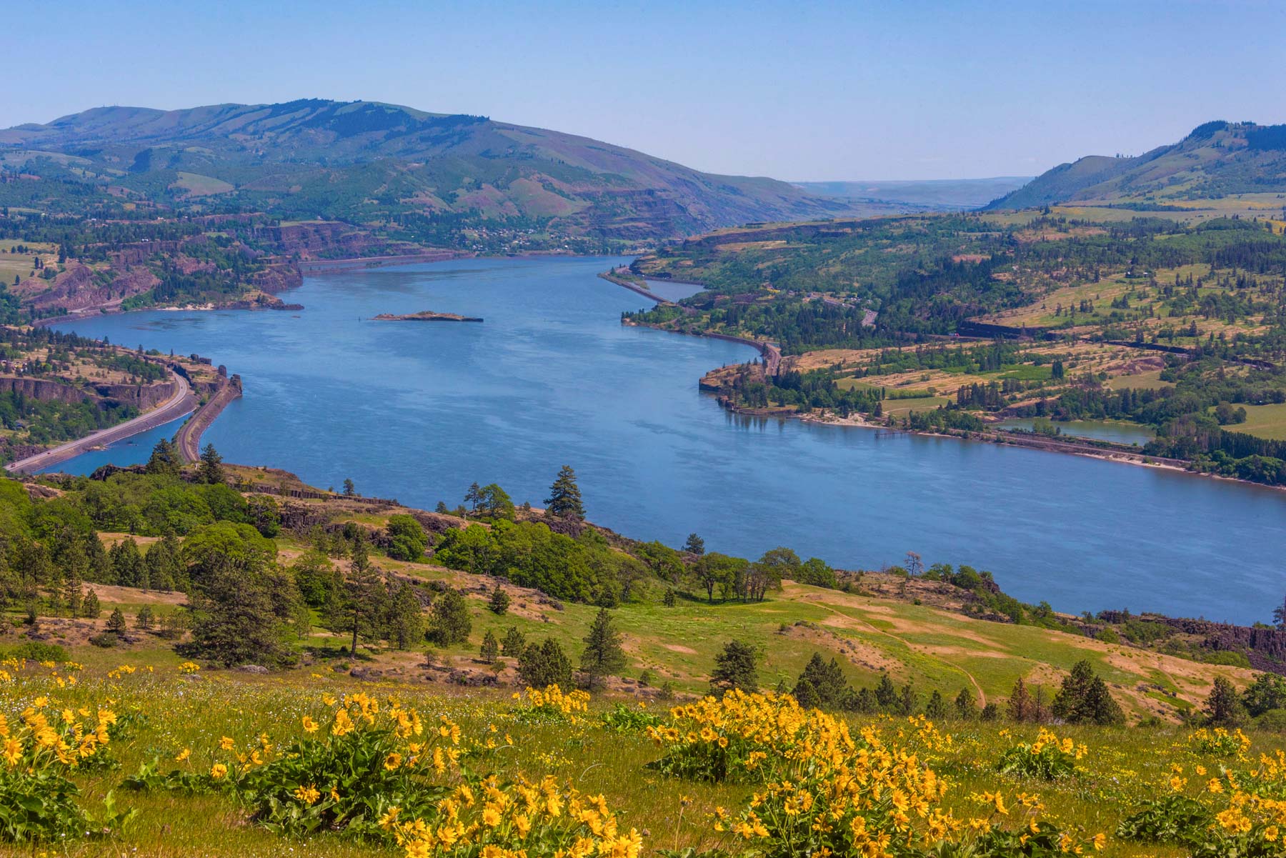 Coyote Wall Hike Columbia Gorge Wildflowers