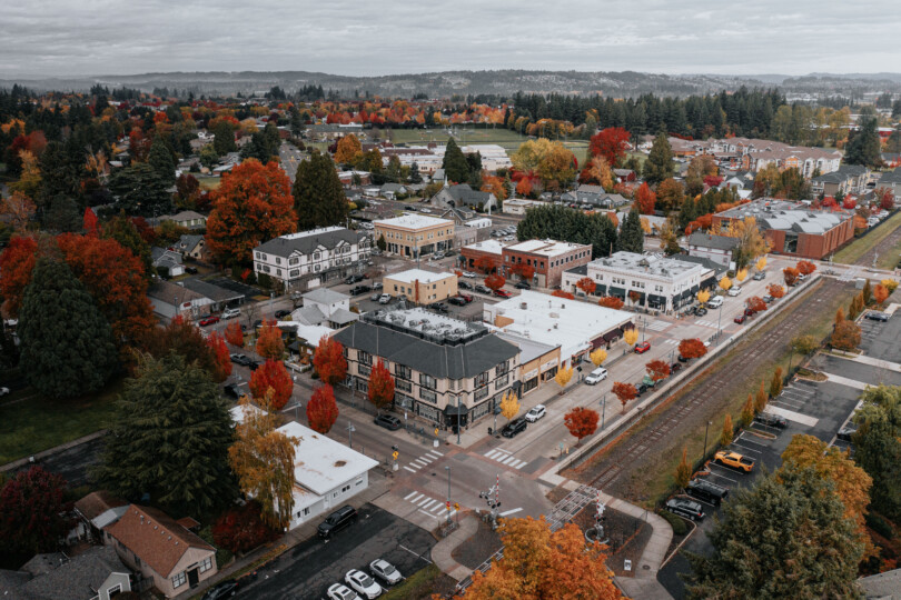Aerial view of the apple orchard rows at Sherwood Orchards southwest of Portland