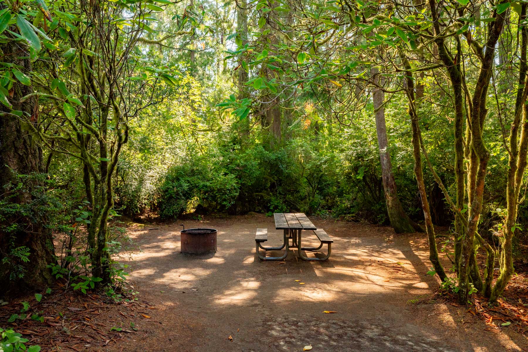 Camping at the Oregon Coast