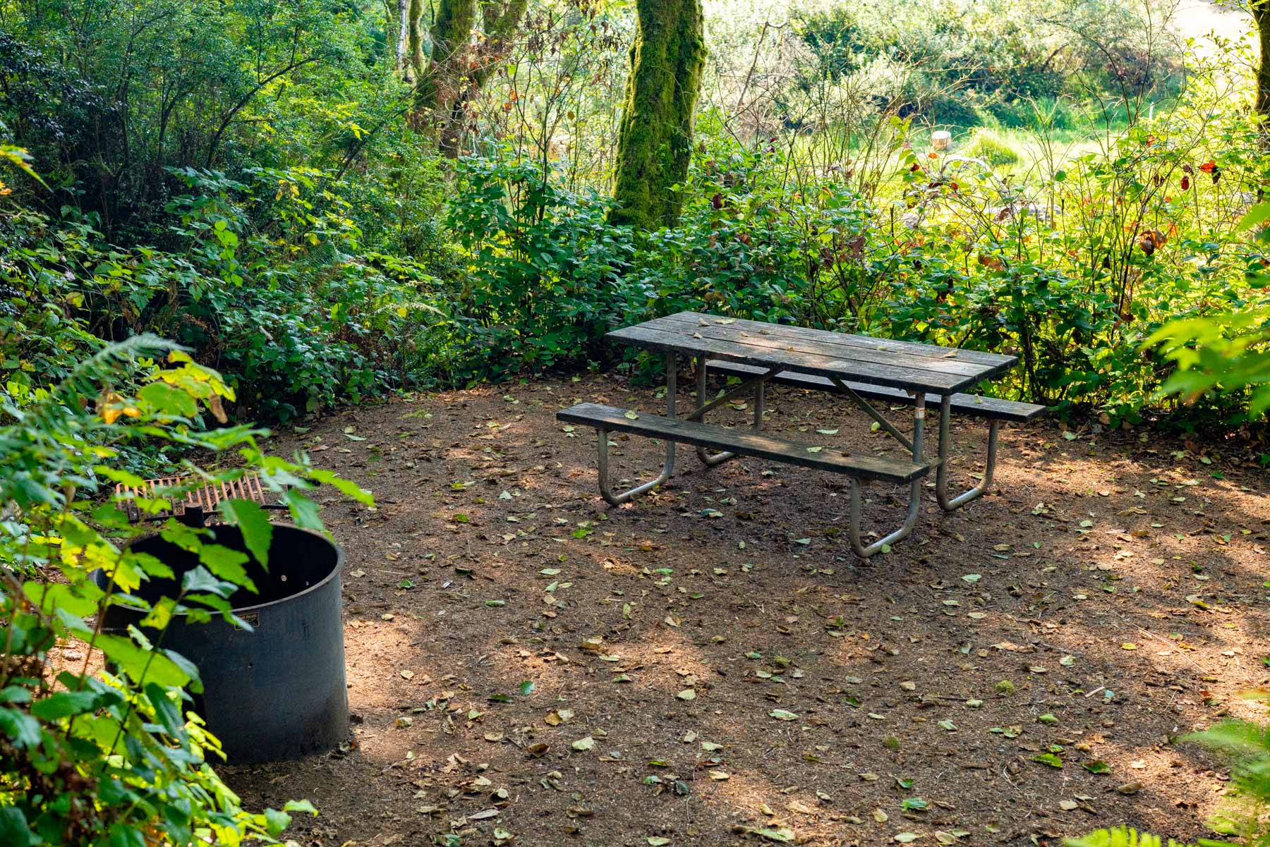 Tent campgrounds Oregon Coast
Rock Creek Campground at the Oregon Coast