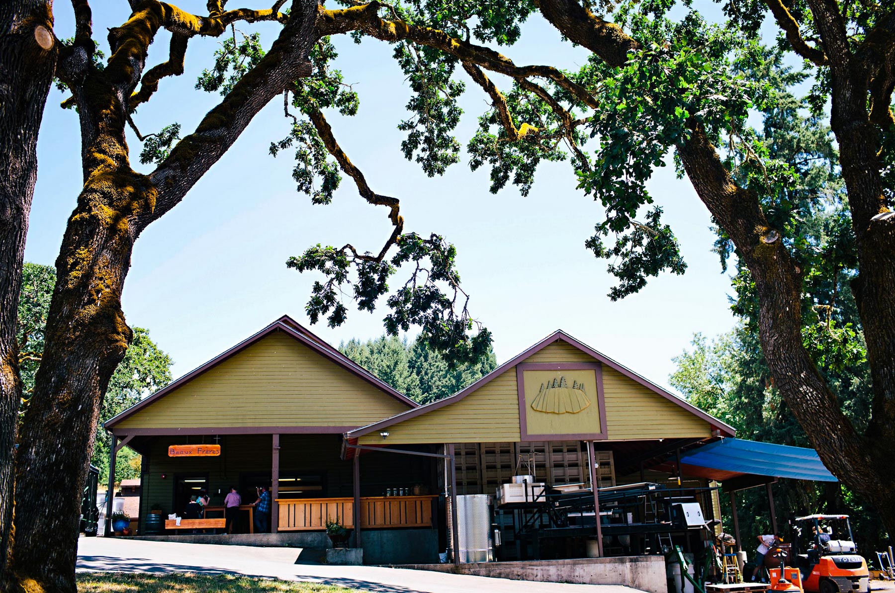 Beaux Frères winery Oregon
