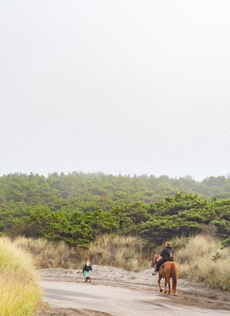 Best things to do Tillamook Oregon