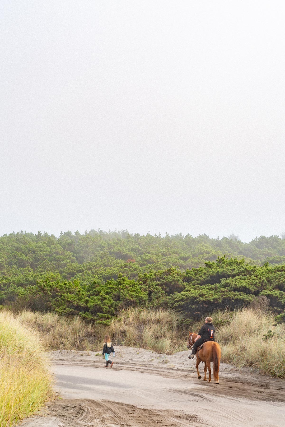 Best things to do Tillamook Oregon