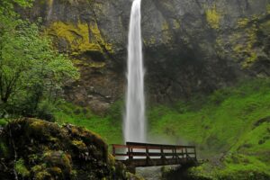 Elowah Falls plunging into a mossy basalt amphitheater in the Columbia