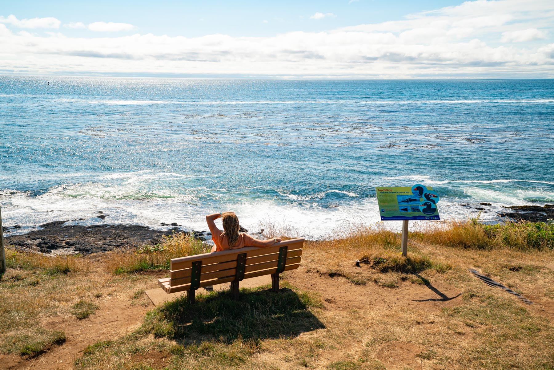 Whale watching at the Oregon Coast