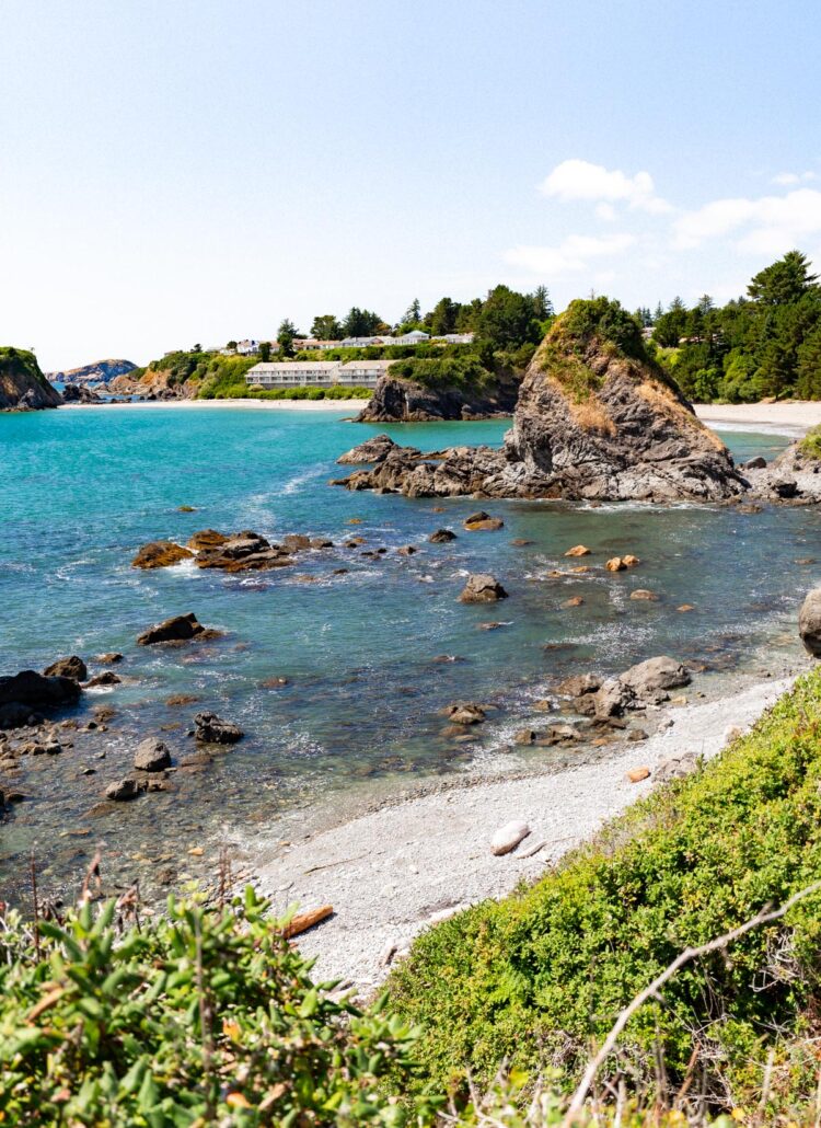 10+ Best Things to Do at Samuel H. Boardman Scenic Corridor 