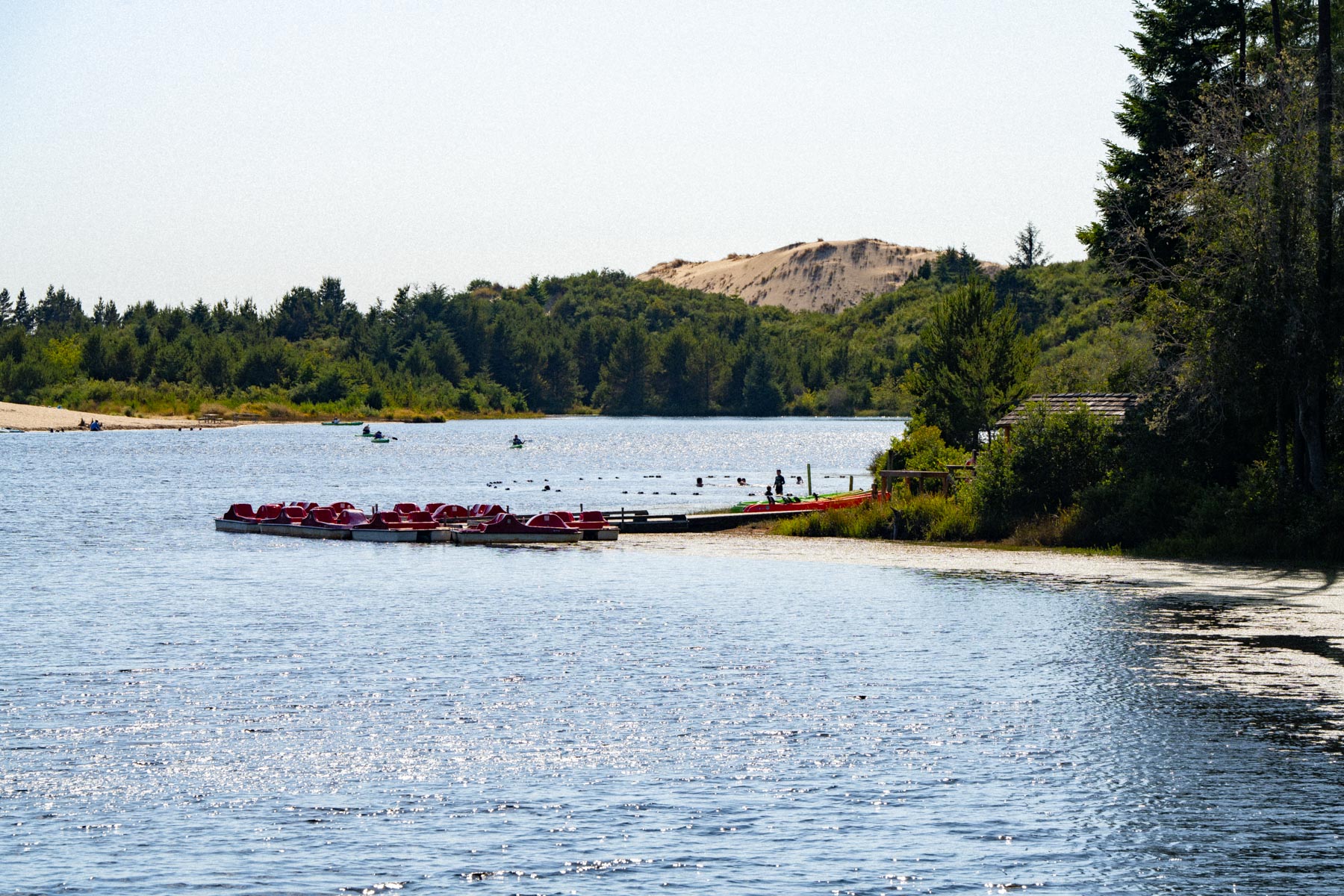 Jessie M. Honeyman Memorial State Park