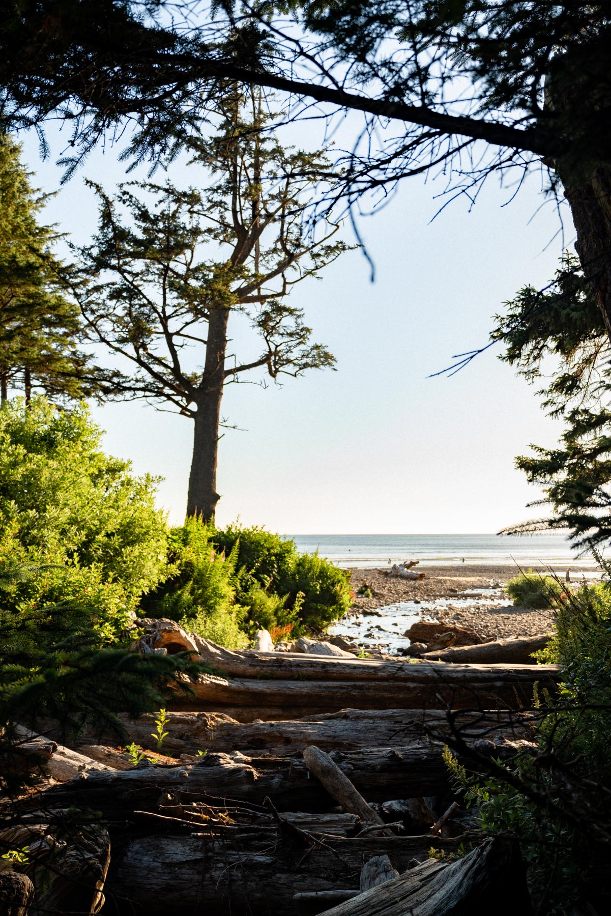 Oswald West State Park