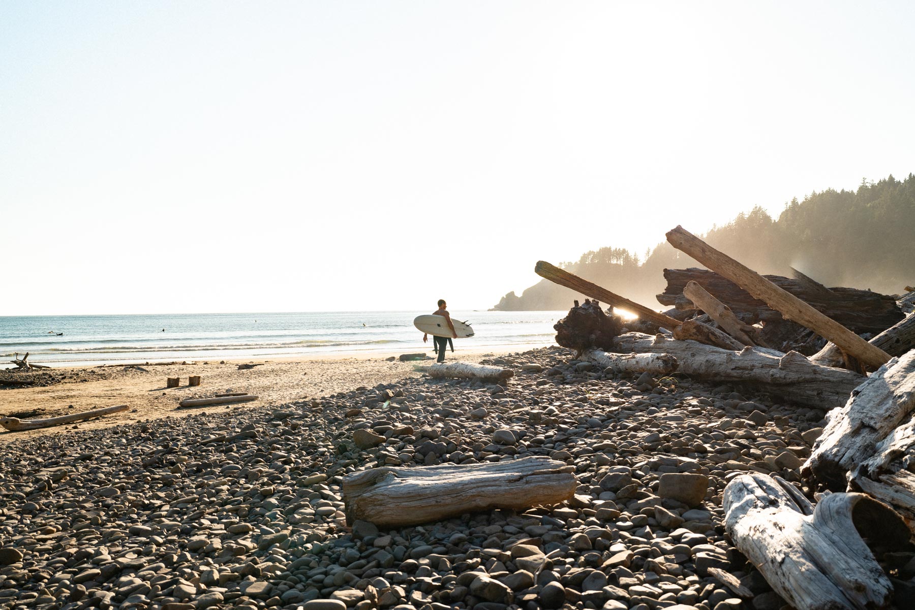 Oswald West State Park
Oregon coast road trip itinerary 